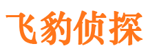 龙港侦探公司